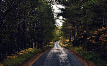 Картинка природа дороги шоссе