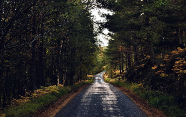 Обои картинки фото природа, дороги, шоссе