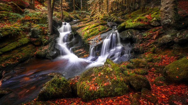 Обои картинки фото природа, водопады, лес, деревья, листья, осень, ручей, камни, мох