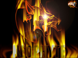 Картинка разное