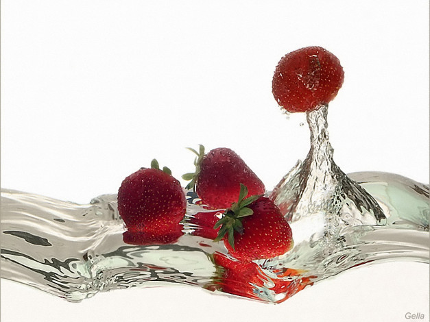 Обои картинки фото gella1, выскочка, еда, клубника, земляника