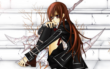 Картинка аниме vampire knight