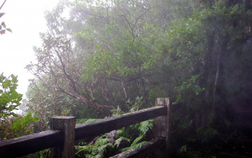 Картинка new zealand mount taranaki природа