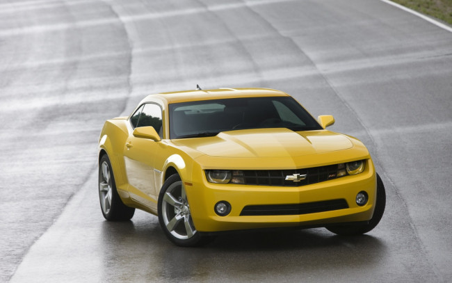 Обои картинки фото chevrolet, camaro, 2010, автомобили