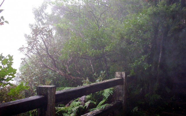 Обои картинки фото new, zealand, mount, taranaki, природа