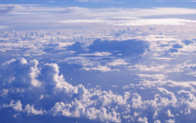 Обои картинки фото природа