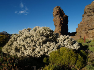 Картинка las canadas del teide природа горы тенерифе