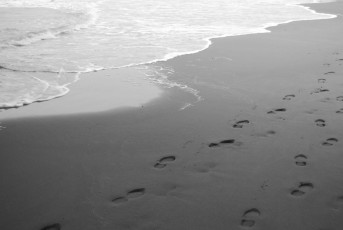 Картинка природа побережье море вода волны берег пляж