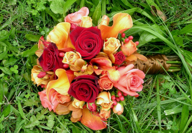 Обои картинки фото цветы, букеты, композиции, розы, каллы