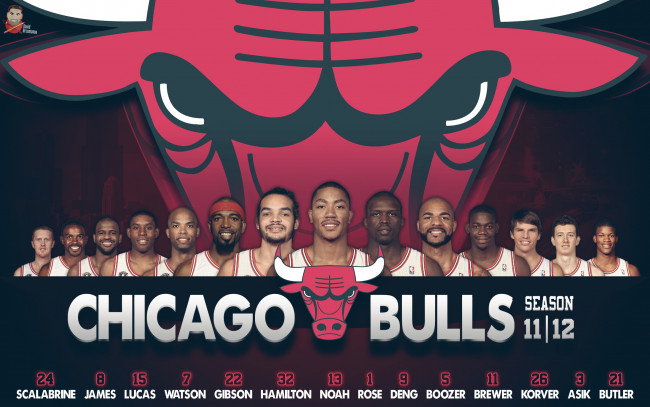 Обои картинки фото chicago, bulls, 2011, 2013, спорт, nba, daffon, arzumanov, rose