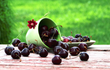 Картинка еда вишня +черешня