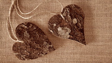 Картинка праздничные день+святого+валентина +сердечки +любовь любовь дерево веревки