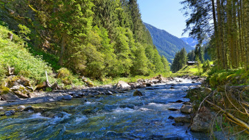 Картинка природа реки озера лес вода