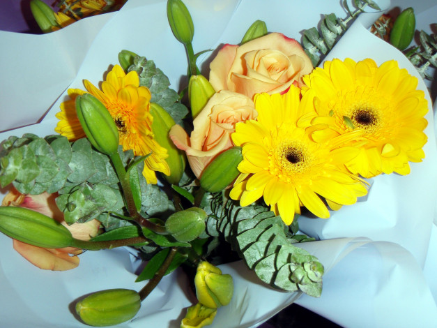 Обои картинки фото цветы, букеты,  композиции, розы, герберы, бутоны, лилия