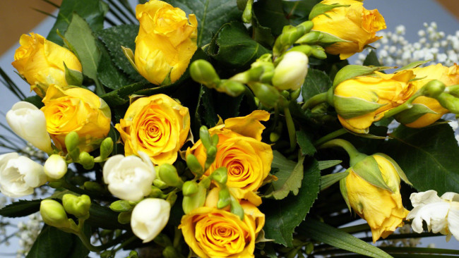 Обои картинки фото цветы, букеты,  композиции, природа, букет, желтые
