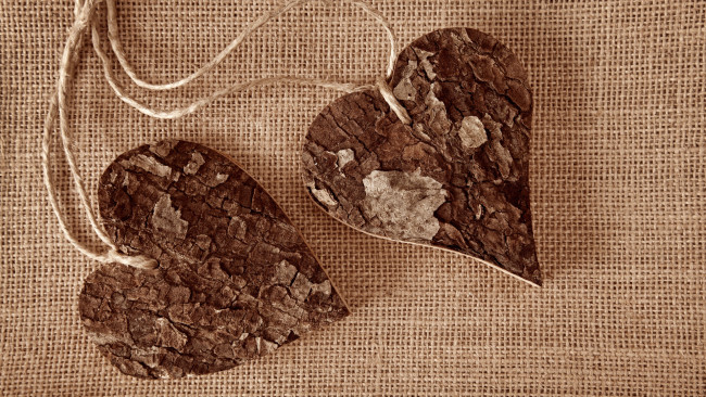 Обои картинки фото праздничные, день святого валентина,  сердечки,  любовь, любовь, дерево, веревки