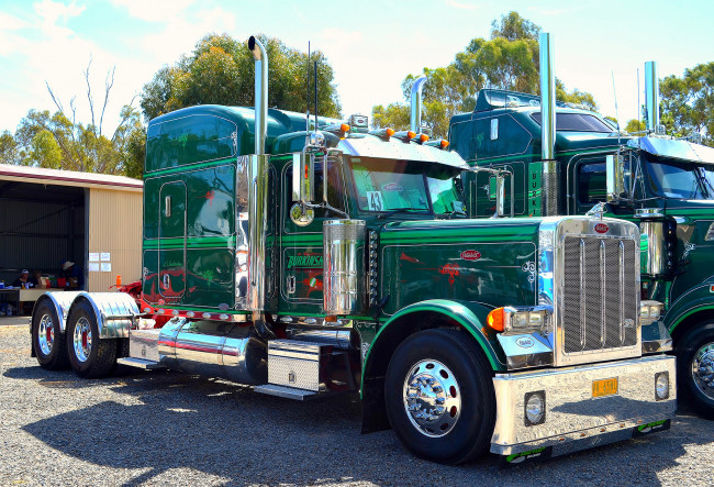 Обои картинки фото peterbilt, автомобили, сша, седельные, тягачи, классические, грузовики, motors, company