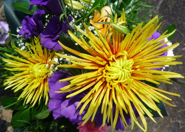 Обои картинки фото цветы, букеты,  композиции, букет, эустома, георгины