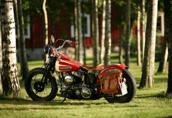 Картинка мотоциклы harley-davidson custom