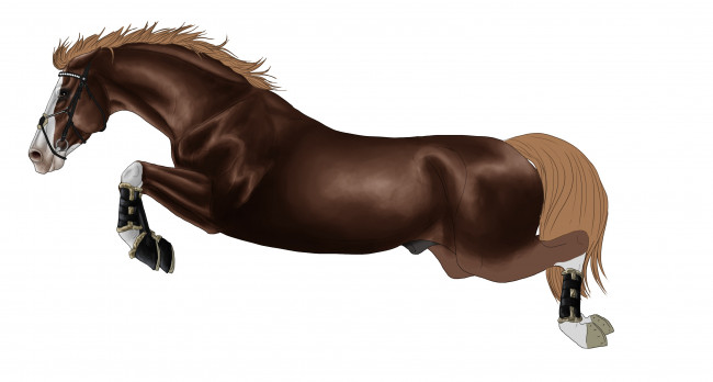 Обои картинки фото рисованное, животные,  лошади, фон, лошадь