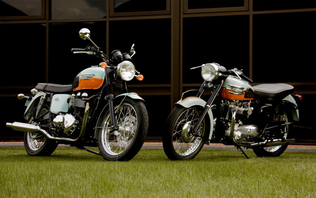 Обои картинки фото мотоциклы, triumph