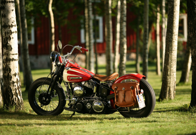 Обои картинки фото мотоциклы, harley-davidson, custom