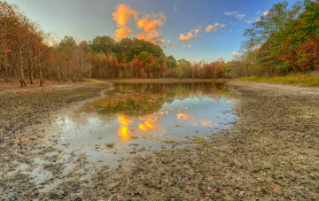 Картинка природа реки озера лес река