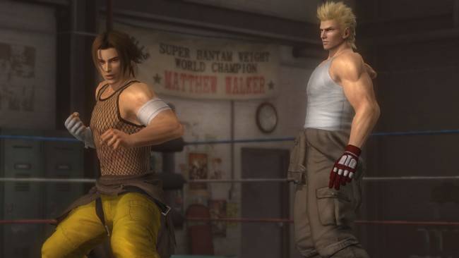 Обои картинки фото видео игры, dead or alive 5, парни, взгляд, поза