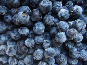 Картинка еда голубика +черника много черника ягоды