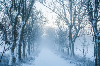 Картинка природа дороги туман дорога