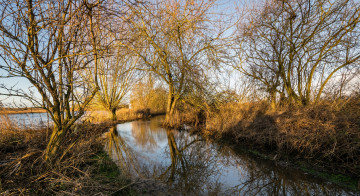 Картинка природа реки озера рассвет