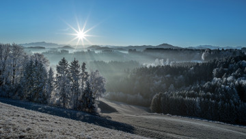 Картинка природа пейзажи горы иней лес