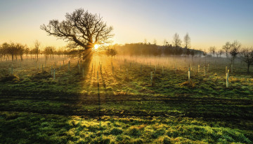 Картинка природа восходы закаты рассвет