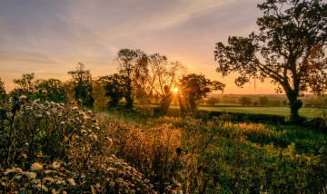 Картинка природа восходы закаты рассвет