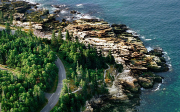 Картинка природа побережье море деревья панорама дорога