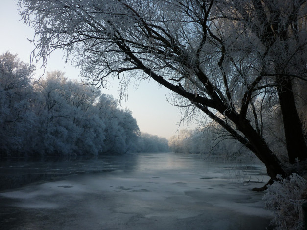 Обои картинки фото природа, реки, озера, деревья, иней