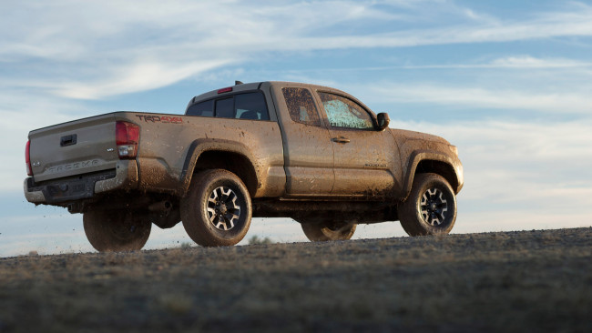 Обои картинки фото toyota tacoma 2016, автомобили, toyota, tacoma, 2016, джип, внедорожник