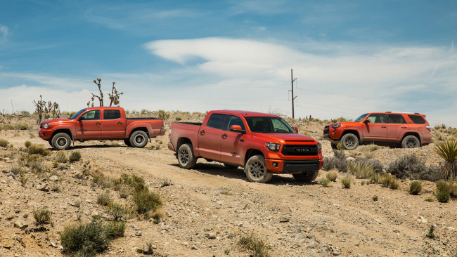 Обои картинки фото toyota tacoma trd pro series 2015, автомобили, toyota, tacoma, trd, pro, series, 2015