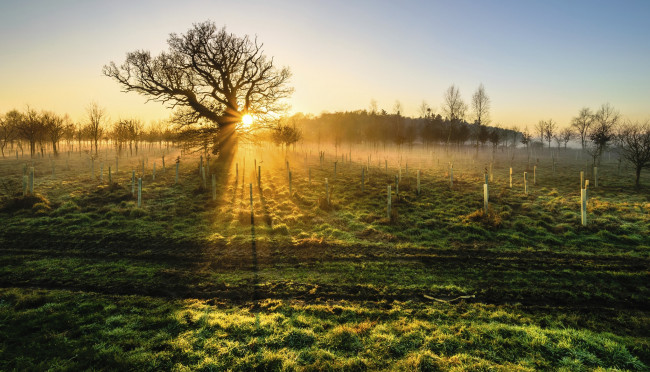 Обои картинки фото природа, восходы, закаты, рассвет