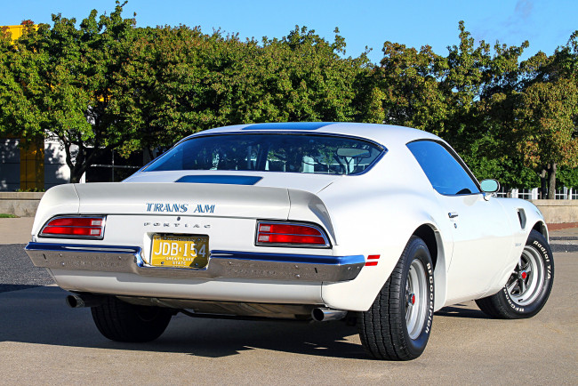 Обои картинки фото автомобили, pontiac