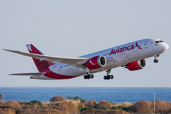 Обои картинки фото boeing 787, авиация, пассажирские самолёты, авиалайнер