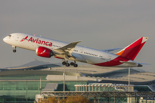 Обои картинки фото boeing 787, авиация, пассажирские самолёты, авиалайнер