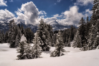 Картинка природа зима простор