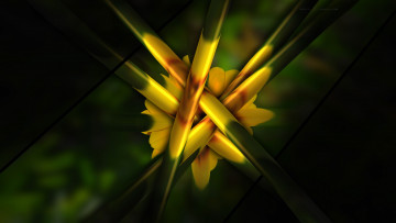 Картинка 3д+графика абстракция+ abstract краски рендеринг объем линии