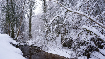 Картинка природа зима простор