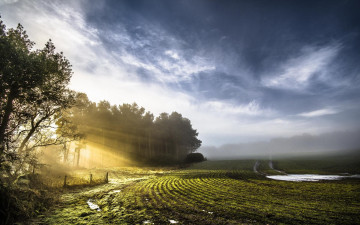 Картинка природа поля поле тучи лучи изгородь деревья лужи небо