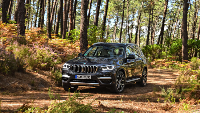 Обои картинки фото bmw x3 xdrive30d 2018, автомобили, bmw, x3, xdrive30d, 2018, чёрный