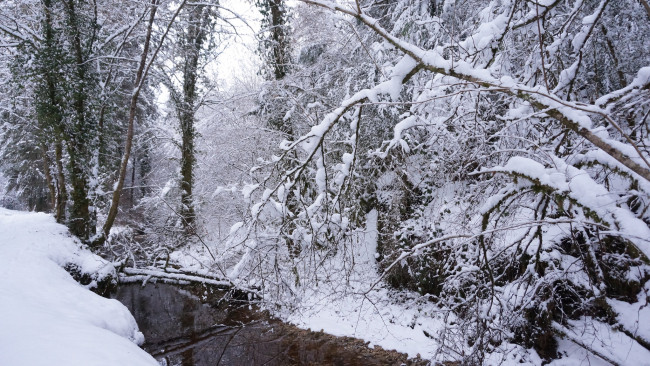 Обои картинки фото природа, зима, простор