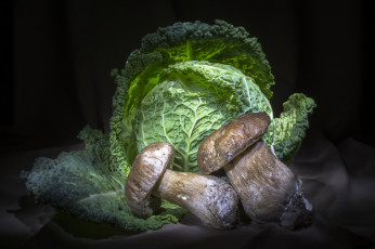 Картинка еда разное снедь