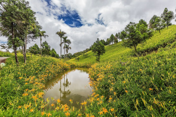 Картинка природа реки озера простор